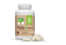 Therapeutisches Potenzial des Mastix bei gastrointestinalen Erkrankungen