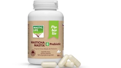 Therapeutisches Potenzial des Mastix bei gastrointestinalen Erkrankungen